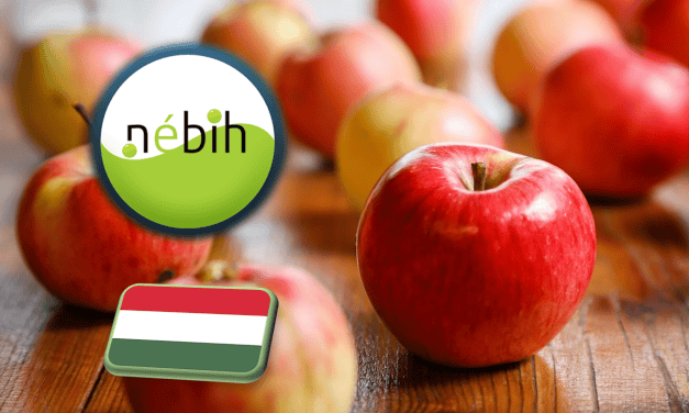 Nébih: Biztonságosan fogyaszthatóak a hazai termésű almák 