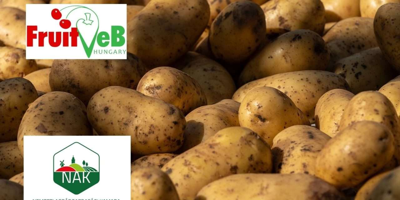 NAK: Burgonyatermelők szakmaközi szervezethez való csatlakozásának lehetősége 