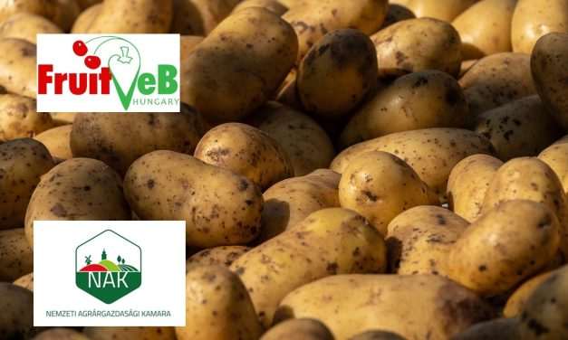 NAK: Burgonyatermelők szakmaközi szervezethez való csatlakozásának lehetősége 