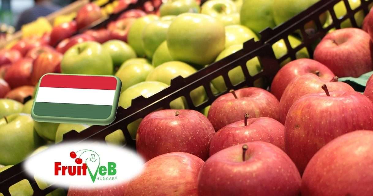 Gyümölcstermesztés: a FruitVeB ágazati beszámolója a 2025-ös évről 