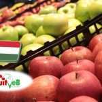 Gyümölcstermesztés: a FruitVeB ágazati beszámolója a 2025-ös évről 
