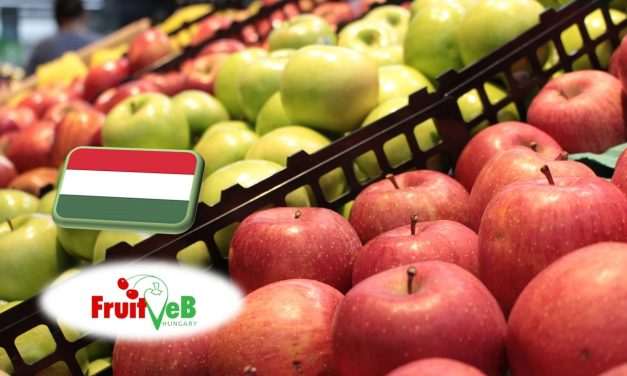 Gyümölcstermesztés: a FruitVeB ágazati beszámolója a 2025-ös évről 