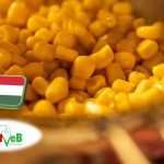 Feldolgozóipar: a FruitVeB ágazati beszámolója a 2025-ös évről 