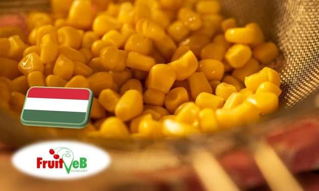 Feldolgozóipar: a FruitVeB ágazati beszámolója a 2025-ös évről 