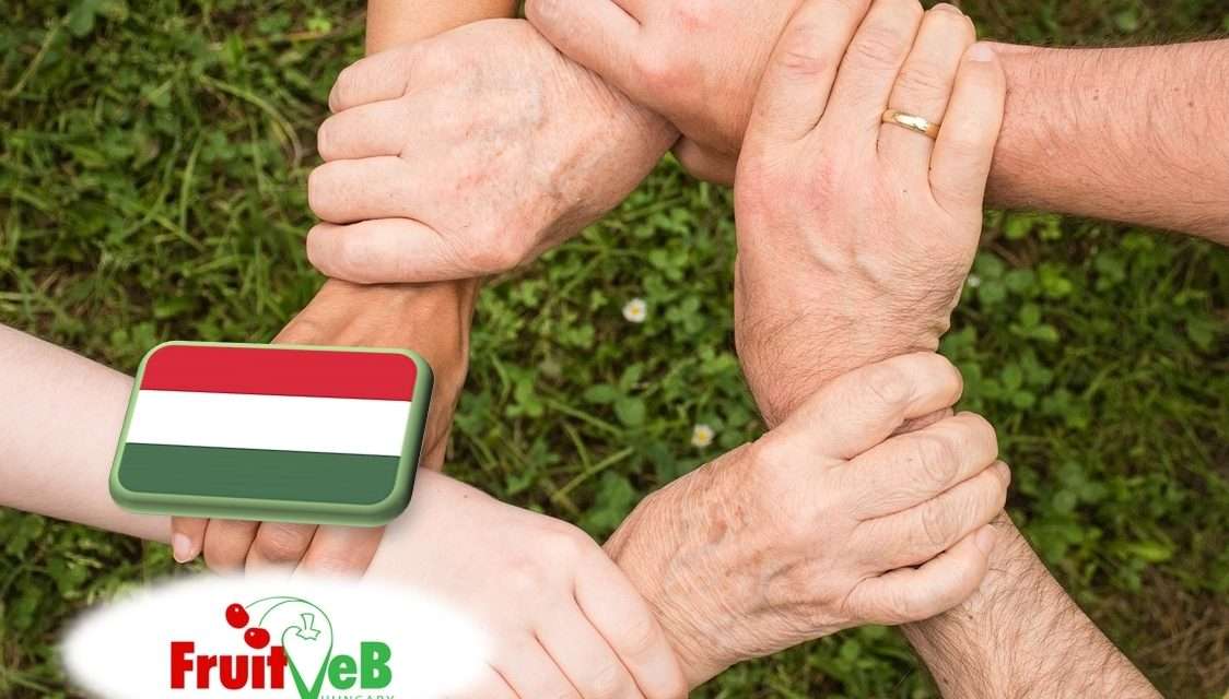 A TÉSZ-ek helyzete: a FruitVeB ágazati beszámolója a 2025-ös évről 