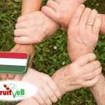 A TÉSZ-ek helyzete: a FruitVeB ágazati beszámolója a 2025-ös évről 