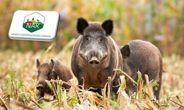 Tájékoztató a tavaszi vadkár-megelőzési feladatokról, a technikai eszközök használatáról és a mezei pocok elleni védekezés lehetőségeiről 