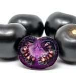 TECH: Purple Bliss – antocianinokkal dúsított sötétlila paradicsomfajta 