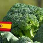 Spanyolország: zavarokat okoznak majd az erős esőzések a káposztafélék kínálatában 