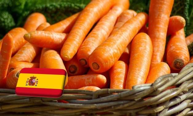 Spanyolország: új csúcsot dönt az andalúz sárgarépa-termesztés 