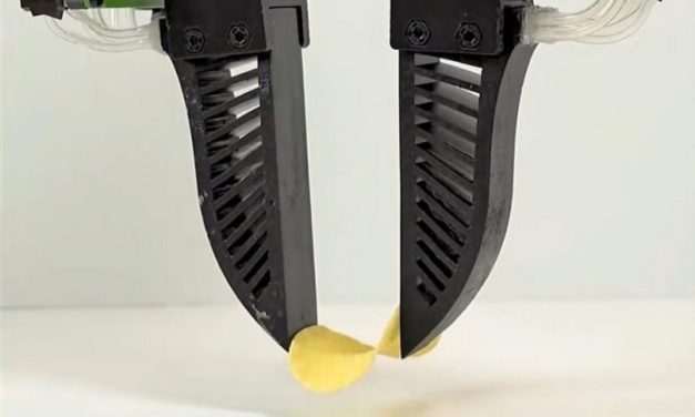 TECH: robotkéz sérülékeny, érzékeny élelmiszerek kezelésére 