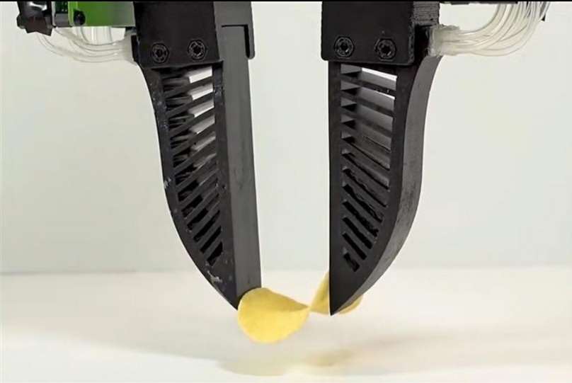 TECH: robotkéz sérülékeny, érzékeny élelmiszerek kezelésére 