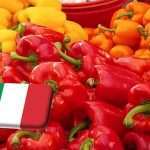 Olaszország: Szicíliában is megjelent a paprikatripsz 