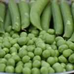 Pictor Active: szükséghelyzeti engedély borsó kultúrában 