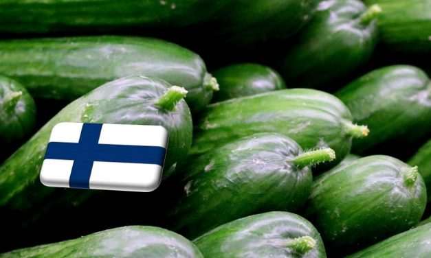 Finnország: rekord volument ért el tavaly a belföldi uborkahajtatás 