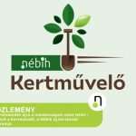 A kertészkedés újra a mindennapok része lehet – elindult a Kertművelő, a Nébih új kertészeti programja 