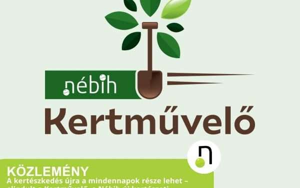 A kertészkedés újra a mindennapok része lehet – elindult a Kertművelő, a Nébih új kertészeti programja 