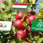 Interjú: egyszerre került nyomás alá és kapott új lendületet a magyar gyümölcságazat 