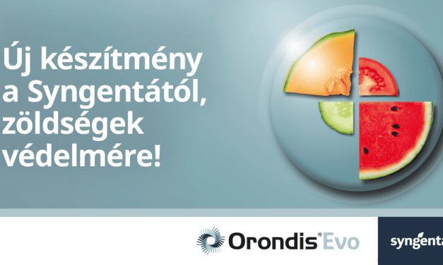 Syngenta: Orondis Evo, az új etalon a kabakosok védelmére (x) 