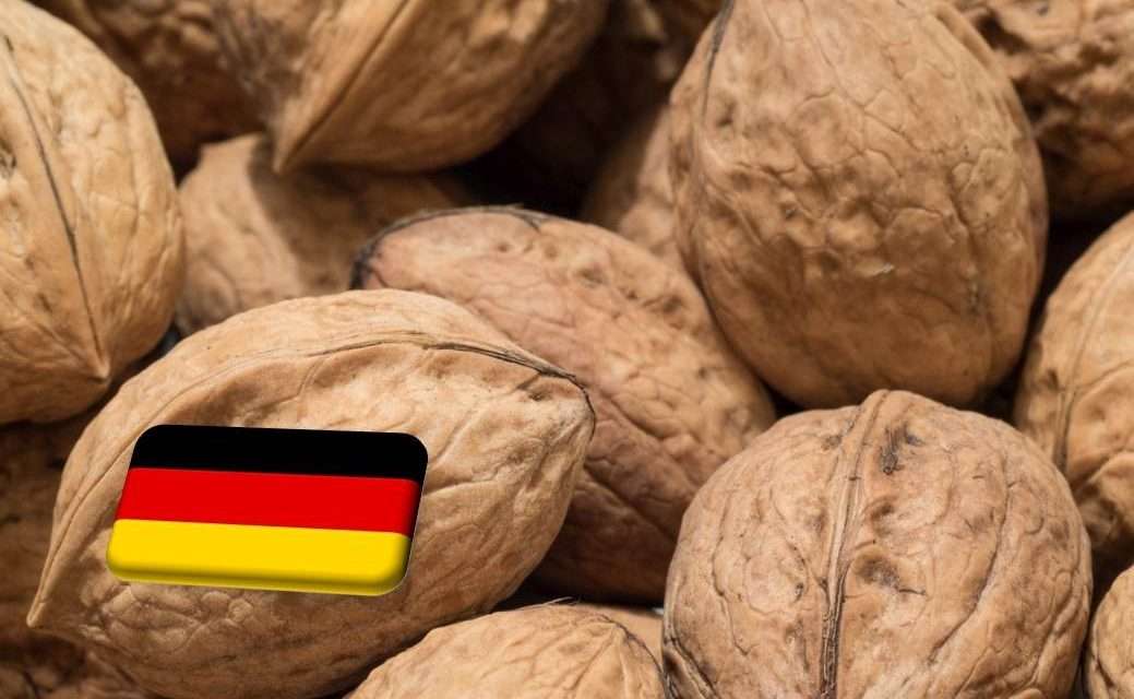 Németország: jelentősen bővült tavaly az amerikai diófélék importja 