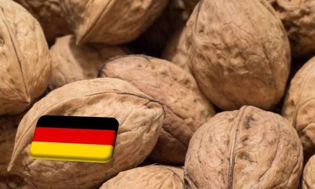 Németország: jelentősen bővült tavaly az amerikai diófélék importja 