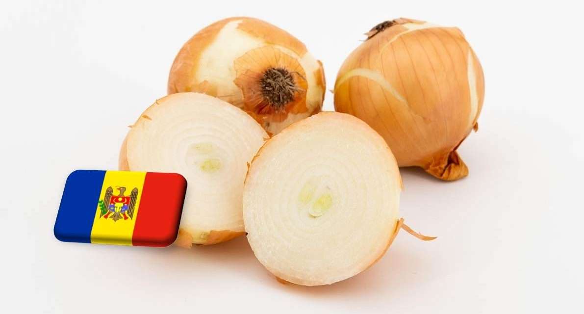 Moldova: érezhető hiány a vöröshagyma kínálatában 