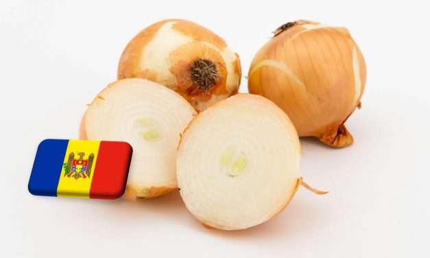 Moldova: érezhető hiány a vöröshagyma kínálatában 