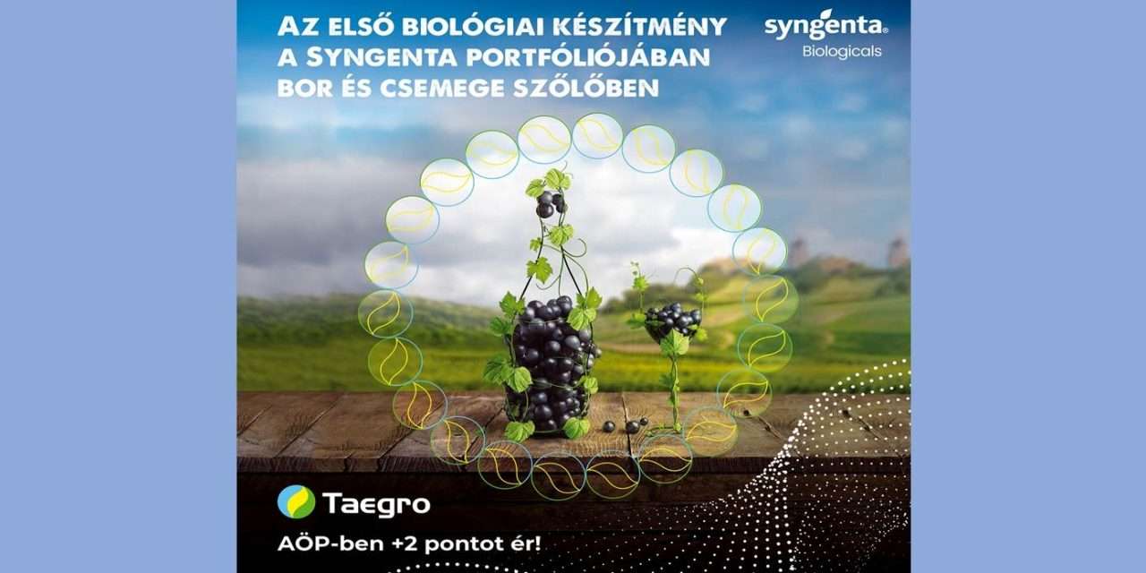 Számos zöldségkultúrában és szőlőben is felhasználható biológiai készítmény: Taegro (x)