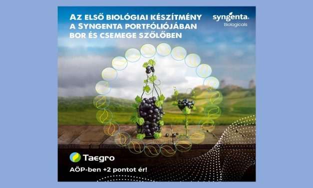 Számos zöldségkultúrában és szőlőben is felhasználható biológiai készítmény: Taegro (x)