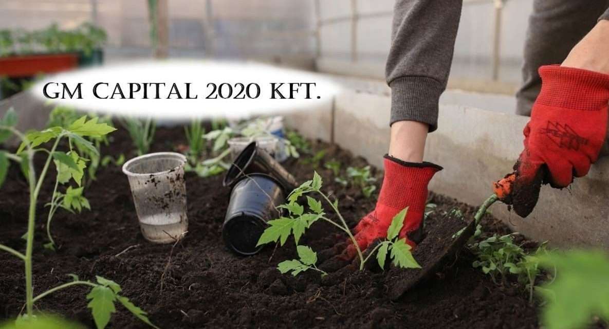 GM Capital: A mezőgazdasági szezon nem vár, a munka viszont ember nélkül nem végezhető el (x) 