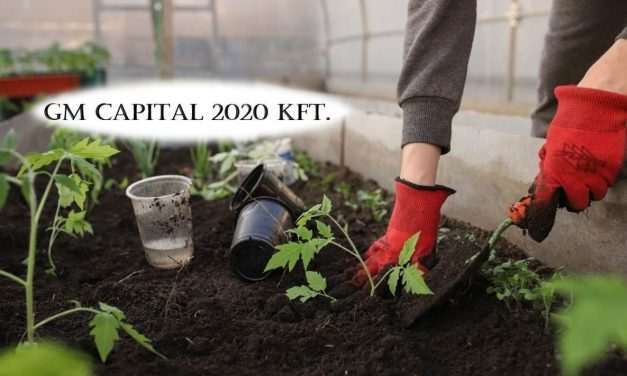 GM Capital: A mezőgazdasági szezon nem vár, a munka viszont ember nélkül nem végezhető el (x) 